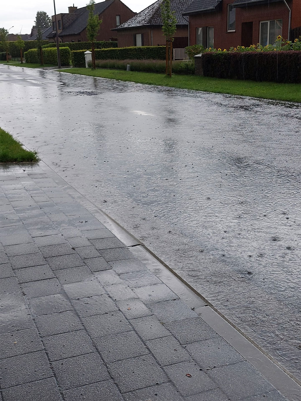 Wateroverlast in Sint-Gillis-Waas: Boerenkrijglaan in deelgemeente De Klinge (foto: Magda Bolssens)
