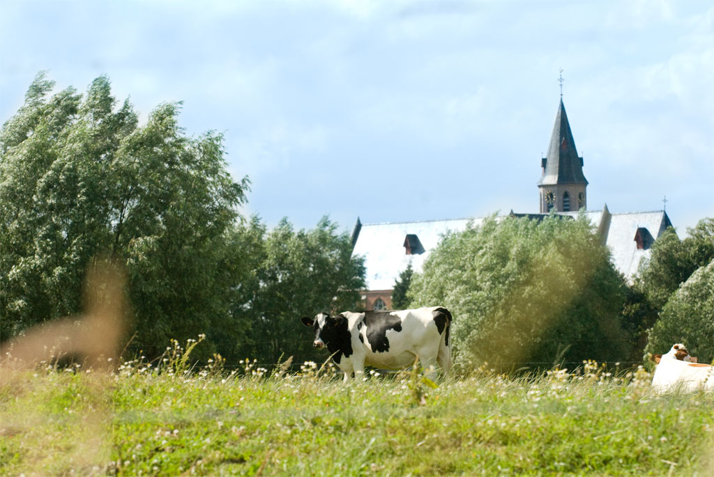 © Stad Lokeren